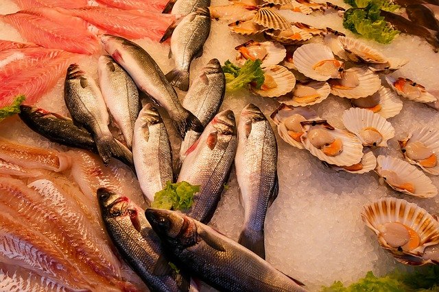 四季折々の魚介類を楽しもう！魚の旬とオススメ調理法を解説